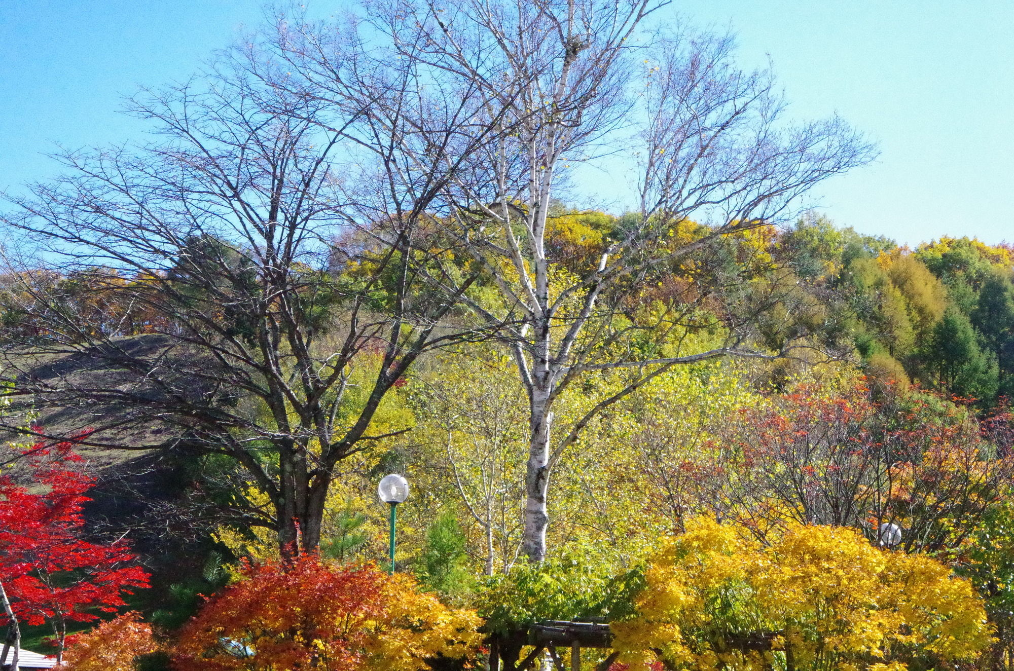 Hotel Sunbird Gunma Exterior foto